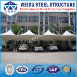 Low Cost Steel Parking Structure (WD092711)