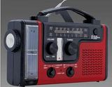Solar Dynamo Radio with Torch