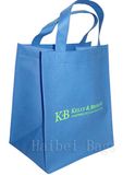 Non-Woven Delicate Carry Bag (hbnb-493)