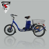 Popular 350W Cheap Electric Tricycle