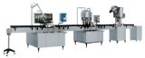 Complete Pure Water Production Line / Equipment