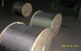 Stainless Steel Wire Rope (PVC/Nylon Coating)