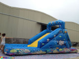 Fish Inflatable Water Slide, Hot Sale Inflatable Water Slide, Slide with Pool (RB7008)