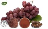 Grape Seed Extract; Vitis Vinifera L.; CAS No.: 84929-27-1