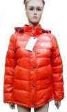 Ladies Winter Jacket (W-8806)