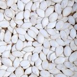 New Crop Snow White Pumpkin Seeds