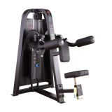 Professional Fitness Equipment / Lateral Raise (SD03)