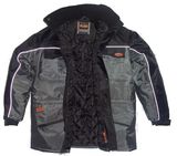 Men's Winter Parka