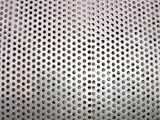 Ss Perforated Metal