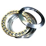 Plain Thrust Bearing