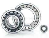 Spherical Roller Bearings 23244