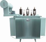Oil Immersion Type Power Transformer 33kv