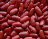 Red Kidney Beans (008)