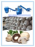 Single Storehouse Automatic Bagging Mixing Production Line: Mushroom Growing Bag Filling Machine