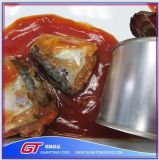 155g Canned Mackerel in Tomato Sauce for Sale