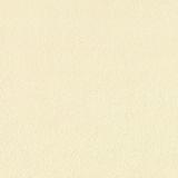 Cream Floor Tile Porcelain (AD6627)