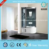 Multi-Function Grey Glass Steam/Sauna Cabin Massage Shower Room (BLS-9845)