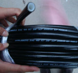 Thermoplastic Hose Twin Single Factory Produced