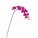 Artificial Flower, Phalaenopsis, Life-Like, Restaurant Decor, Various Colors Are Available