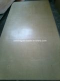 UV Finished Birch Plywood for Amercia Market