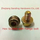 Hex Socket Flange Bolt
