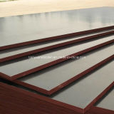 Water Proof Black Film Faced Plywood with WBP Glue