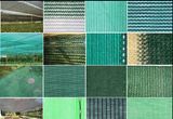Shade Net