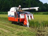 Harvester Rice Category, Wheat, Soybeans