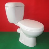 Good Design P-Trap Toilet