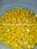 Best Price Good Quality Canned Sweet Corn Kernels