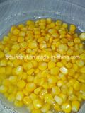 Best Price Good Quality Canned Sweet Corn Kernels