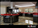 Welbom Contemporary Lacquer Kitchen Design