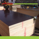 Film Faced Plywood/Marine Plywood/Shuttering Plywood/Waterproof Plywood