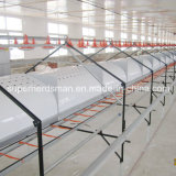 High Quality Poultry House Automatic Breeder Laying Nest