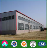 Steel Structure Building for Workshop/Plant