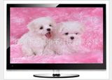 Best Price TV 32/36/40/42/47/50/52/55 Inch Full-HD TFT LED Television Set with HDMI, USB, VGA, AV (OEM, CKD available)