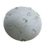 LED Ceiling Light