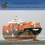 Efficient Sea Freight From China to Ushuaia, Argentina
