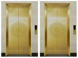 Good Home Elevator