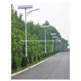 Energy Saving LED Lamp 40W Solar Street Light for Sale