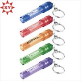 2015 Promotion Pockt Plastic LED Keychain Souvenir Made in China