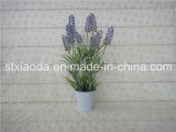 Artificial Plastic Potted Flower (XD14-162)