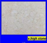 Apricena Filettomarble Stone for Floor Wall Furniture Counter Top Stone Line Stone Column Patchwork Mosaic Stairs Baluster