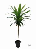 Artificial Plants and Flowers of Dracaena 38lvs