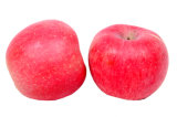 Fresh Red FUJI Apple (2014 New Crop)