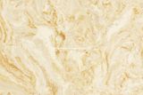 Beige Quartz Stone for Flooring Tile