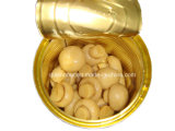 Canned Button Mushroom Suitable for Any Market with Different Drained Weight