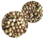 High Quality Bird's Feed Hempseed