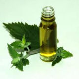 100%Pure and Natural Nepeta Oil
