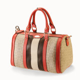 Lady's Fashion Hand Bag (SWBG-502)